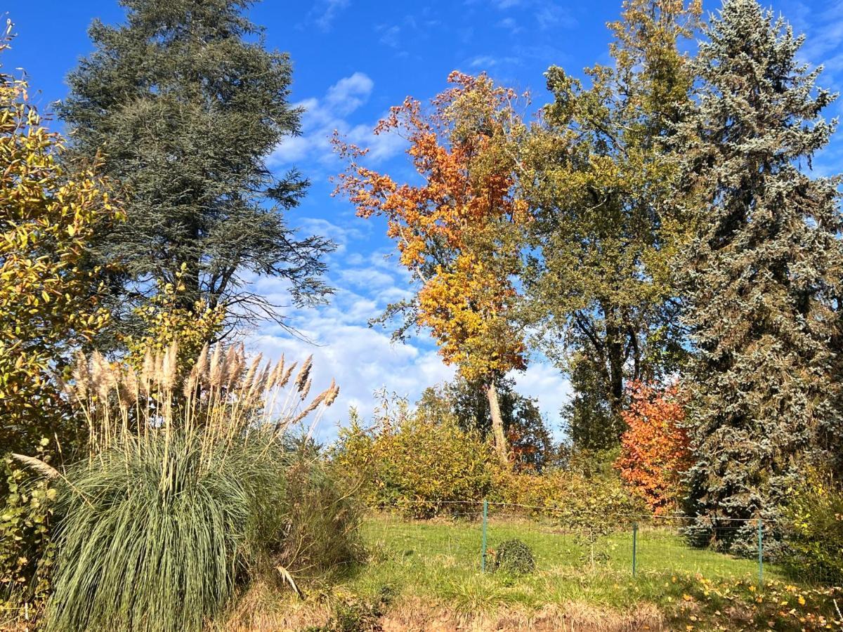 Domaine Le Manoir, Gites De Charme Et De Caractere Avec Piscines Privatisees Et Spa Nordique Fossemagne Екстериор снимка