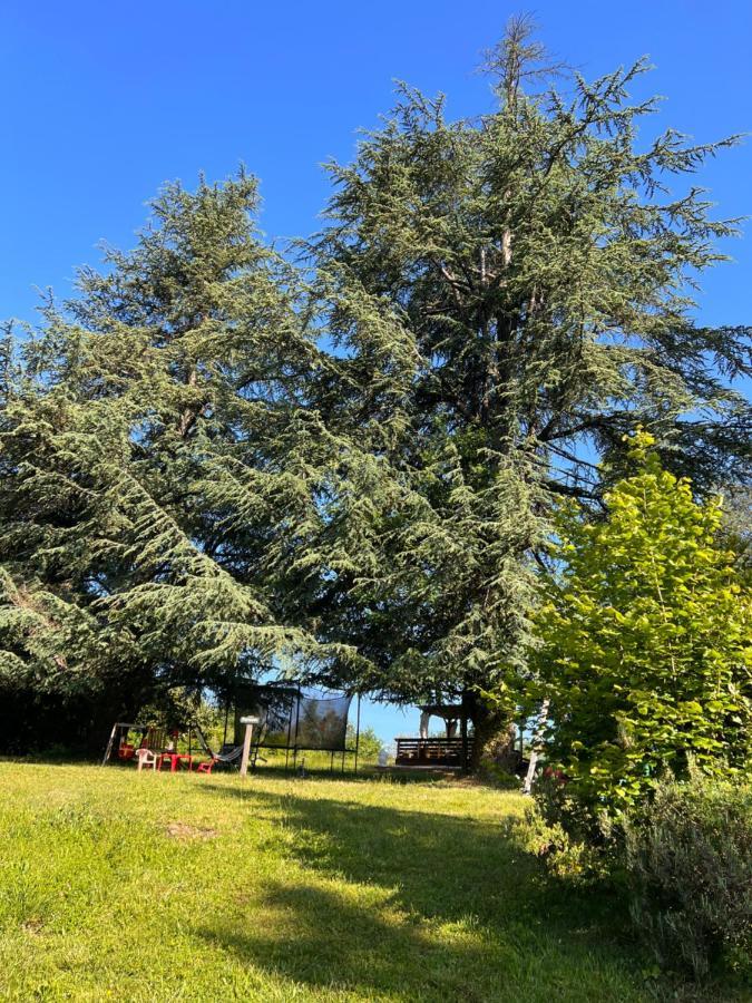 Domaine Le Manoir, Gites De Charme Et De Caractere Avec Piscines Privatisees Et Spa Nordique Fossemagne Екстериор снимка
